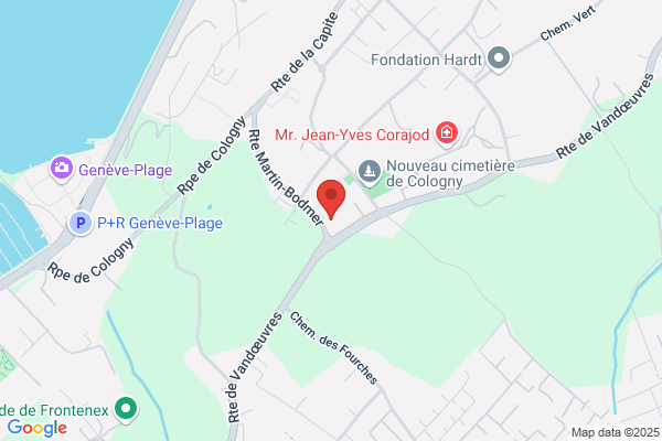 Fulvio Lavore Papa