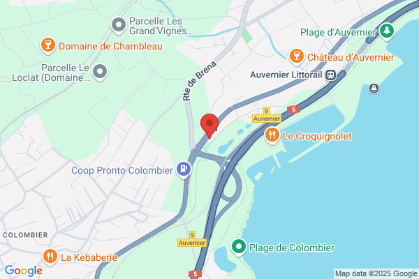 GTO Evolution G. Toedtli