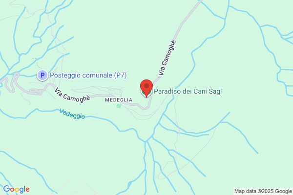 Pensione Paradiso dei gatti
