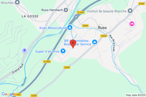 SAT SERVICES, REDZEPI