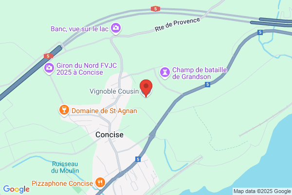 AU P'TIT VIGNERON - VINS