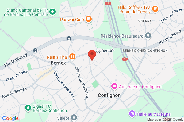 ORTELLI.NET