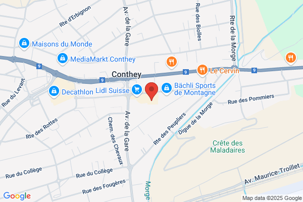 Orchestra CONTHEY