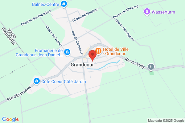 Vital Institut