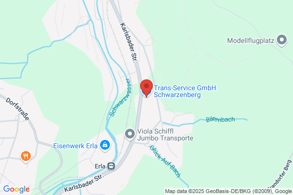 Transservice