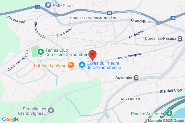 Pizzeria Sàrl de l'Ancienne