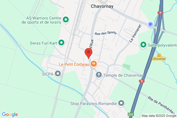 Blavignac SA