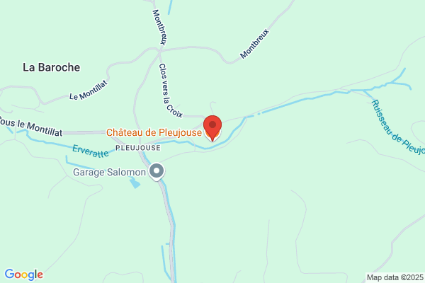 Etienne Gigon Pleujouse
