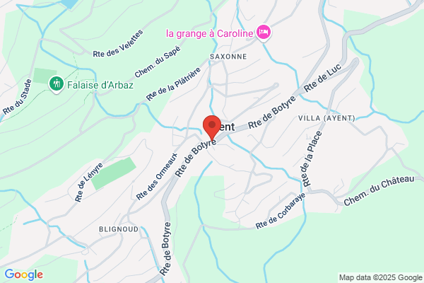 Denner Satellite