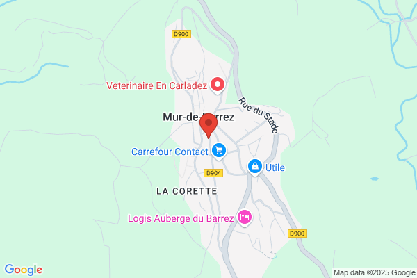 Besson Michel Systèmes de sécurité