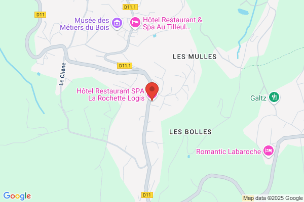 Hôtel-Restaurant les Rochettes