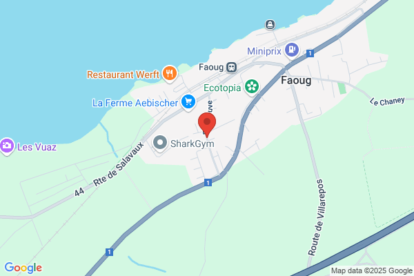 Marina Port de Faoug SA