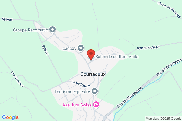 Coiffure 111