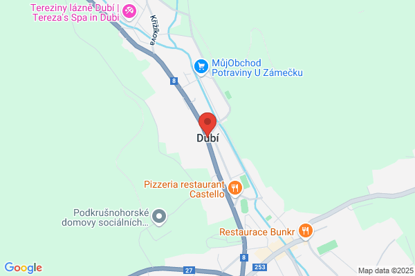 Dr. Jean Dubi