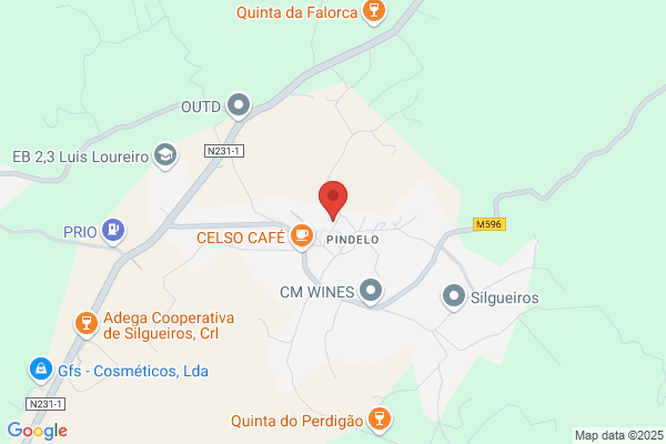 O PINDELENSE