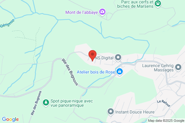 Le shop le Belge