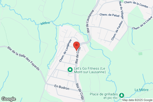 Belfor (Suisse) SA