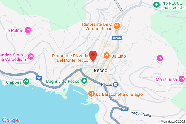 Ristorante Pizzeria Del Ponte
