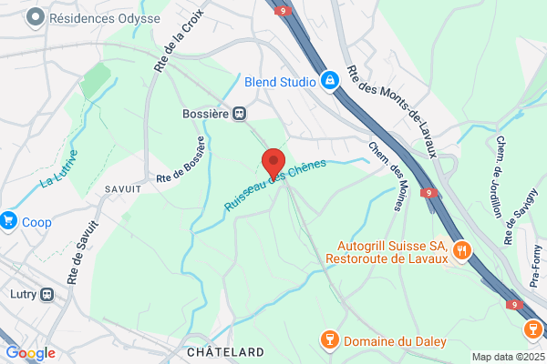 Pro Mind consulting SA