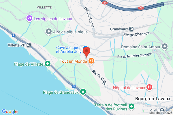 Restaurant le Pointu