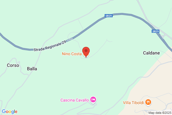 Nino Canetta