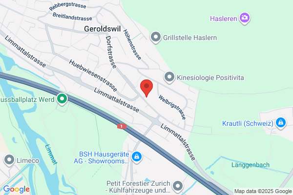 DP Solutions AG