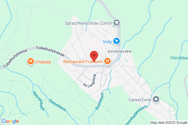EIS Europa Institut Schweiz