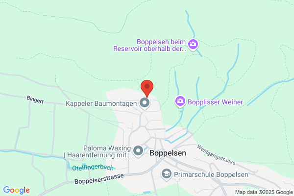 wagner konzept und text ag the agency