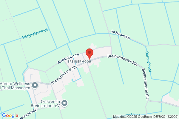 B-D-M Business Development and Management GmbH