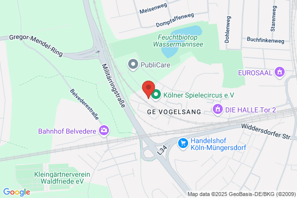 Baeni Trading und Co.