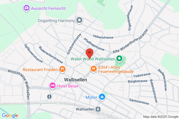 Bellani Web Publishing und Design