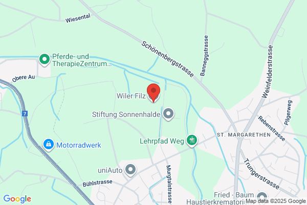 Schweizerfilz
