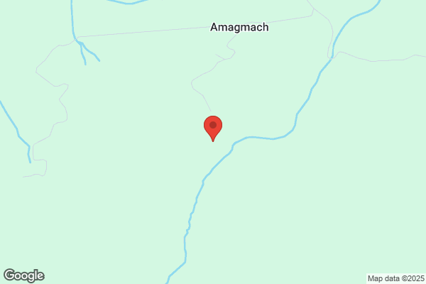 H. Buchser-Anderegg