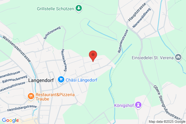 SCHWEIZ. DACHVERBAND FUER CRANIOSACRAL THERAPIE SDVC