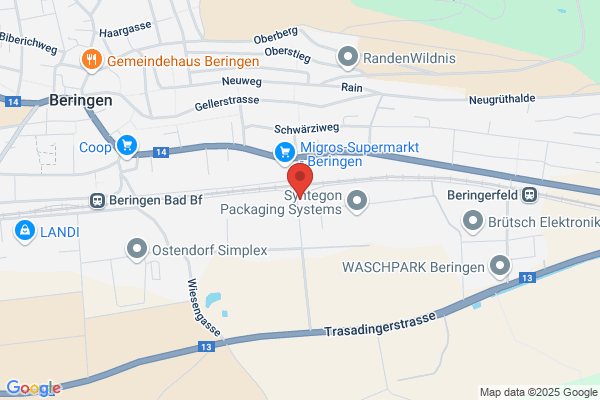 Angestelltenverein der SIG Schweizerische Industrie Gesellschaft