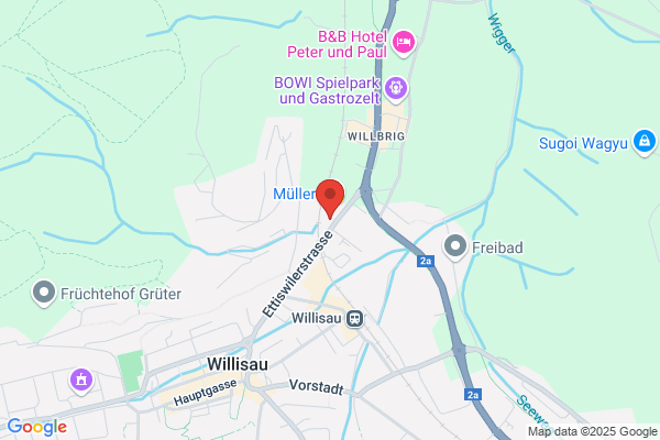 Autogarage Willisegger AG