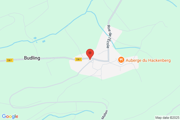 Manège de la Martine Pension pour chevaux