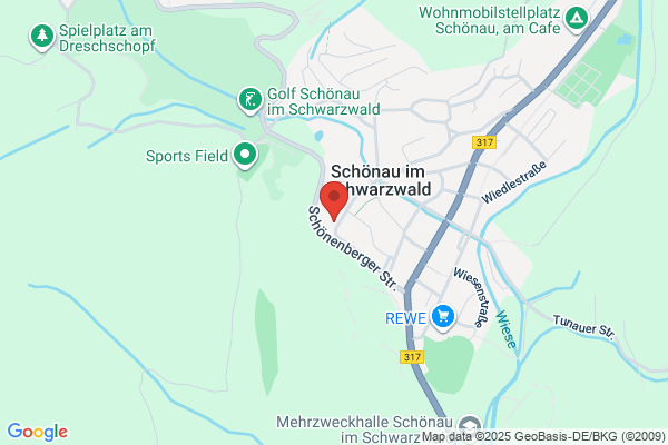 Grosswiler Internet Services