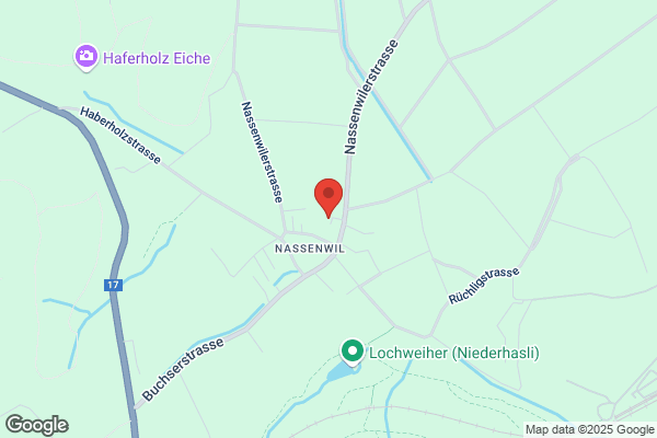 Walter Ott Nassenwil