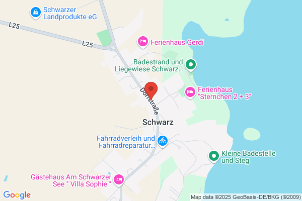 Willi Schwarz