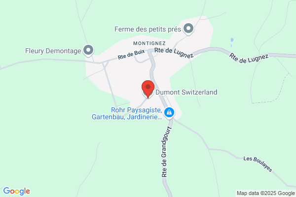 Dumont SA