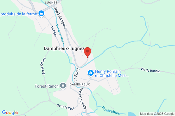 Marco Buergin