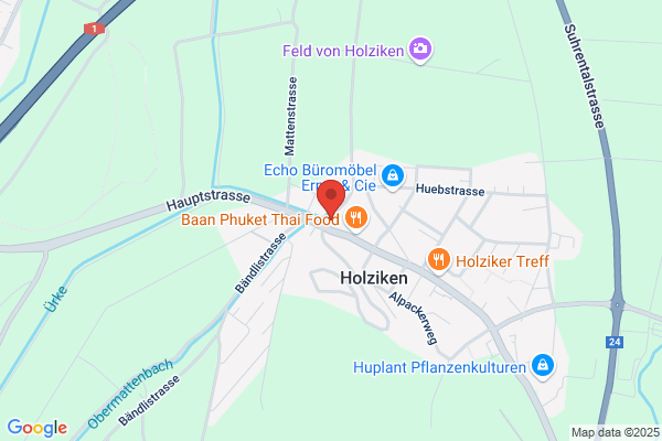 ADI Projektmanagement Adolf Ernst