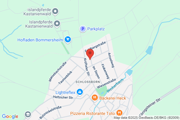 Hanspeter Bopp