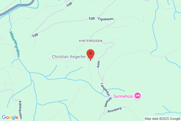 Christian Aegerter