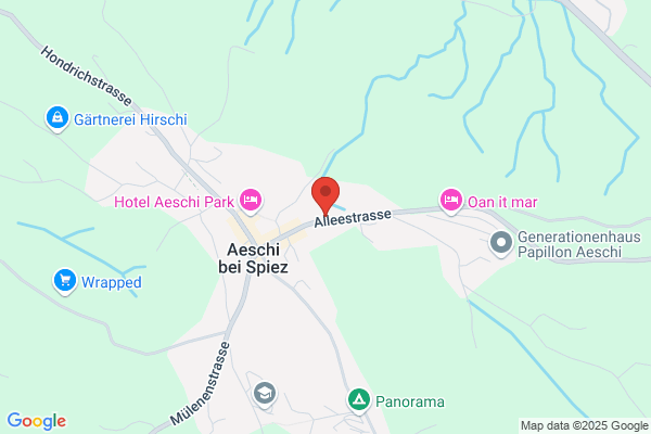 Hotel Hohniesen