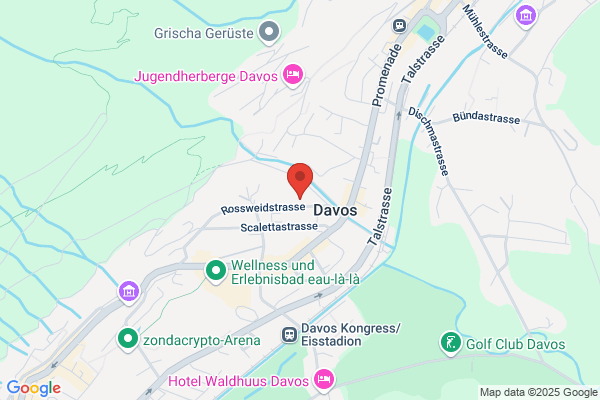 Hotel Edelweiss Davos