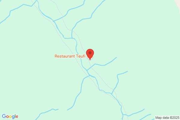 Restaurant Teufi