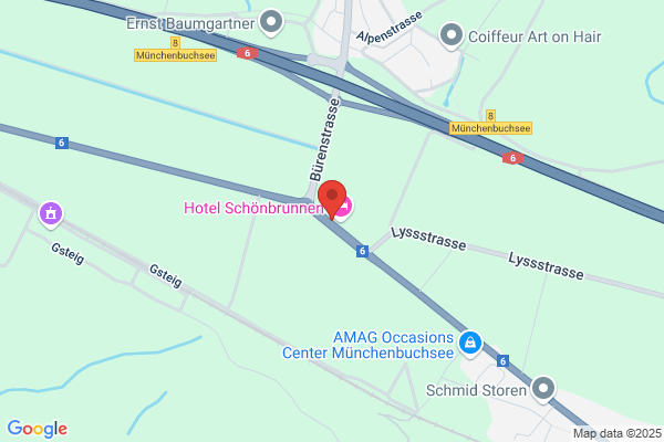 Dancing Schoenbrunnen