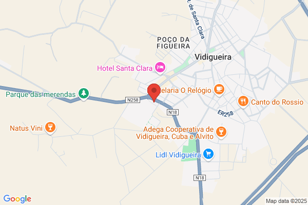 Vidigueira INVERNO TRANSPORTS